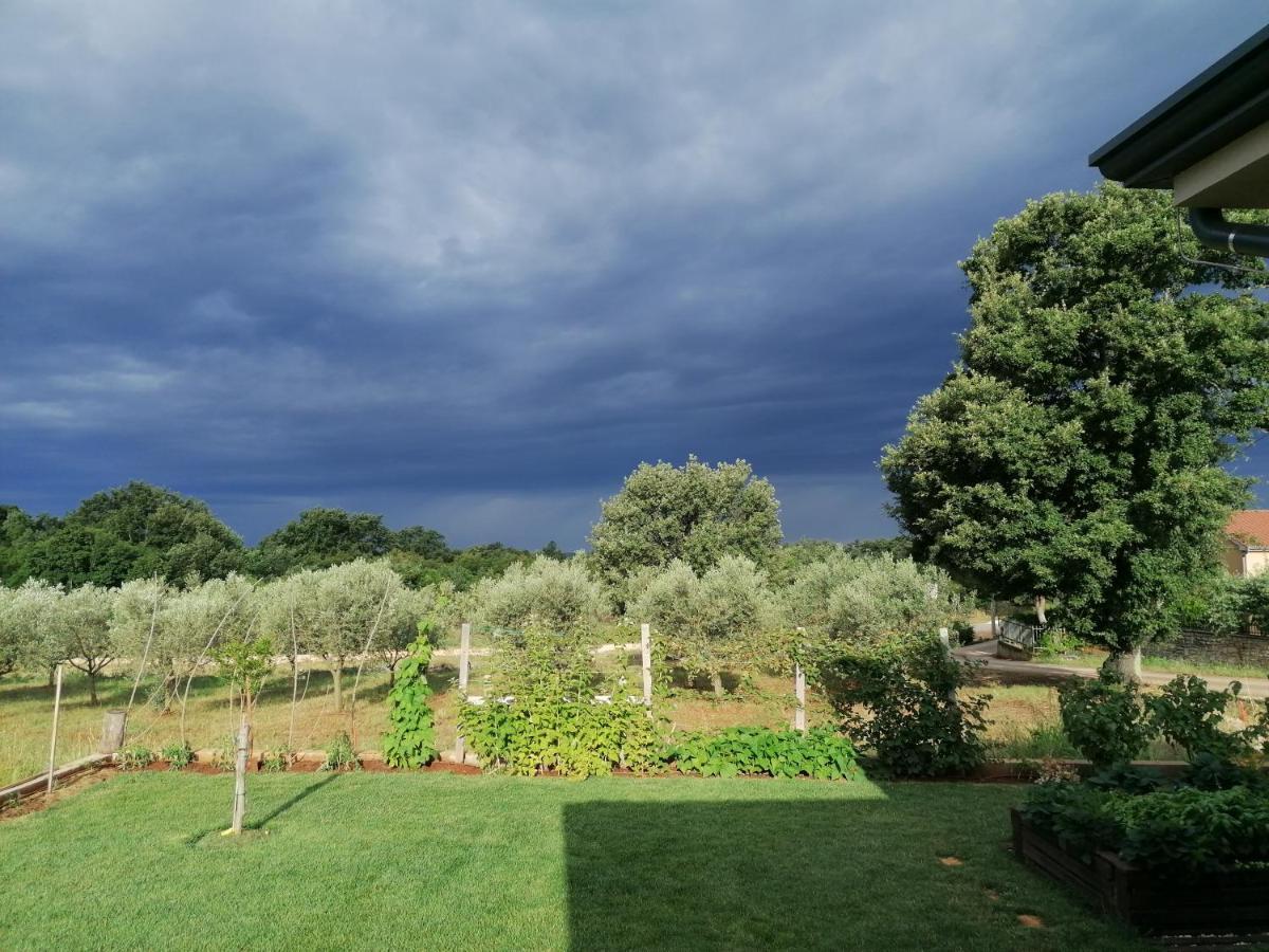 Ferienresidenz Lavandula Nova Vas  Luaran gambar